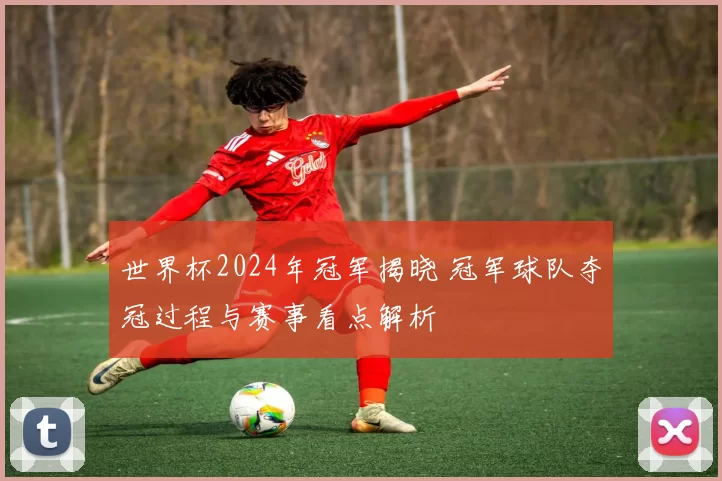 世界杯2024年冠军揭晓 冠军球队夺冠过程与赛事看点解析