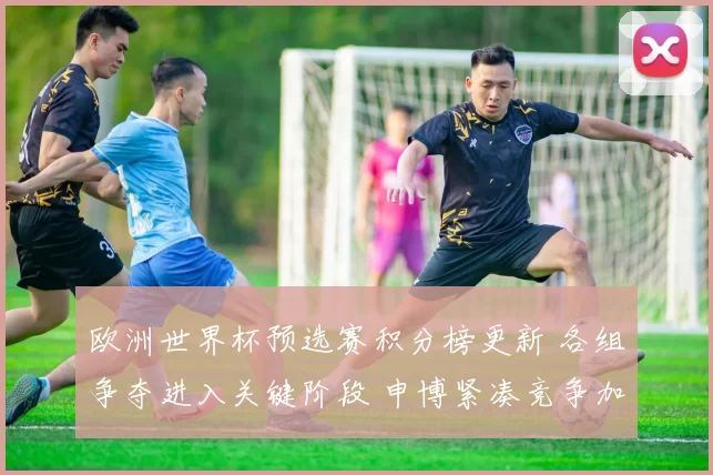 欧洲世界杯预选赛积分榜更新 各组争夺进入关键阶段 申博紧凑竞争加剧