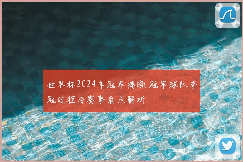 世界杯2024年冠军揭晓 冠军球队夺冠过程与赛事看点解析