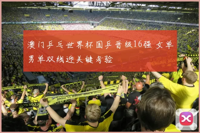 澳门乒乓世界杯国乒晋级16强 女单男单双线迎关键考验