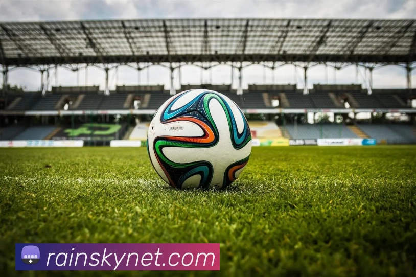 App Interface Preview